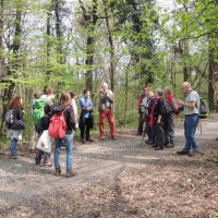 Corso "Dai rilievi di vegetazione alle tipologie forestali", Stabio 09 aprile 2016